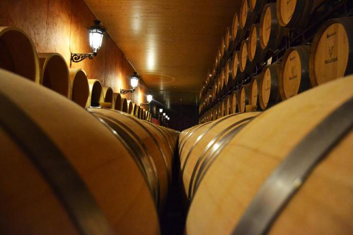 Imagen de los interiores del Hotel Complejo Enoturístico Finca La Estacada. Foto 10