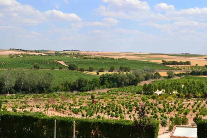 Imagen de los exteriores del Hotel Complejo Enoturístico Finca La Estacada. Foto 8