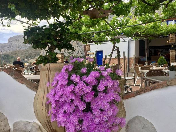 Imagen general del Hotel Complejo Turístico Rural La Garganta. Foto 6