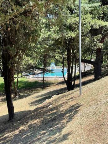 Imagen general del Hotel Complejo Turistico - Pinar serrano - Bialet Masse - Cordoba. Foto 20