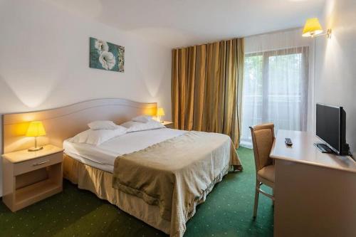 Imagen general del Hotel Complex Bran Brad Bega. Foto 4
