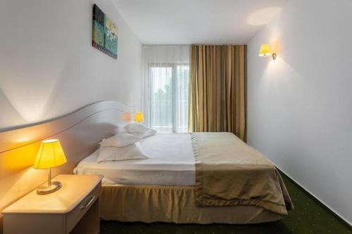 Imagen general del Hotel Complex Bran Brad Bega. Foto 6