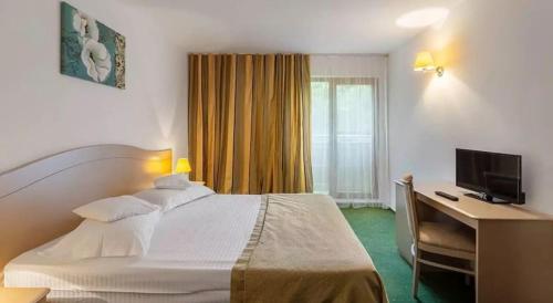 Imagen de la habitación del Hotel Complex Bran Brad Bega. Foto 15