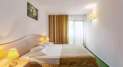 Imagen de la habitación del Hotel Complex Bran Brad Bega. Foto 16