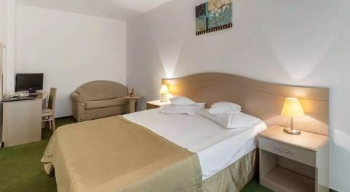 Imagen de la habitación del Hotel Complex Bran Brad Bega. Foto 17