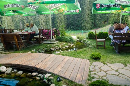 Imagen general del Hotel Complex Kamelia. Foto 4