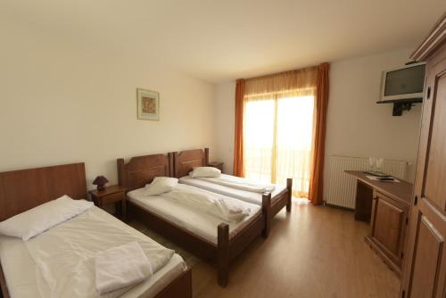 Imagen de la habitación del Hotel Complex Panicel. Foto 16