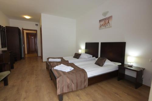 Imagen de la habitación del Hotel Complex Panicel. Foto 20