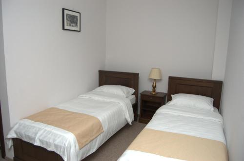 Imagen general del Hotel Complex Parc Pini Moinesti. Foto 3