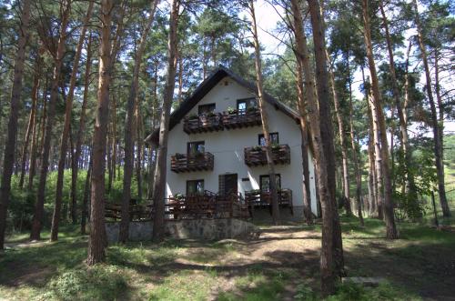 Imagen general del Hotel Complex Parc Pini Moinesti. Foto 4