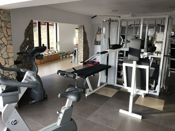 Imagen general del Hotel Complex Turistic Alpina Blazna. Foto 3