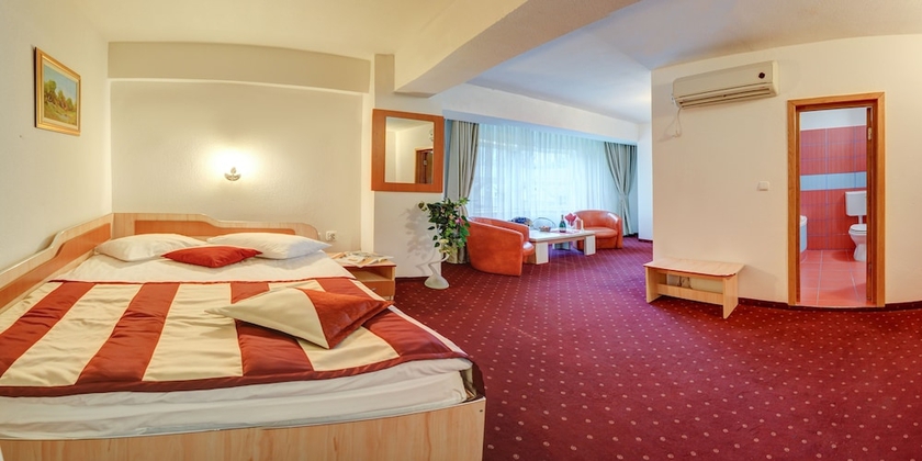 Imagen de la habitación del Hotel Complex Turistic Cornul Vanatorului. Foto 3