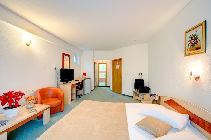 Imagen de la habitación del Hotel Complex Turistic Cornul Vanatorului. Foto 4