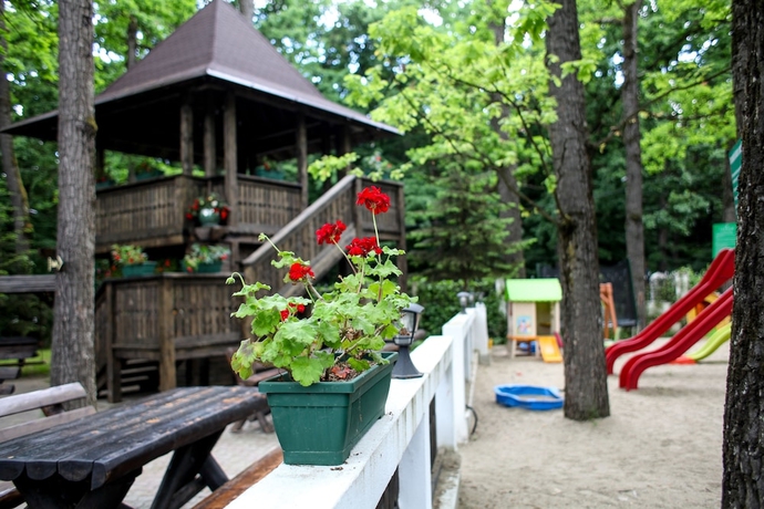 Imagen de la habitación del Hotel Complex Turistic Cornul Vanatorului. Foto 9