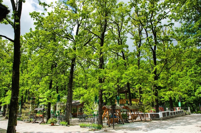 Imagen de los exteriores del Hotel Complex Turistic Cornul Vanatorului. Foto 13