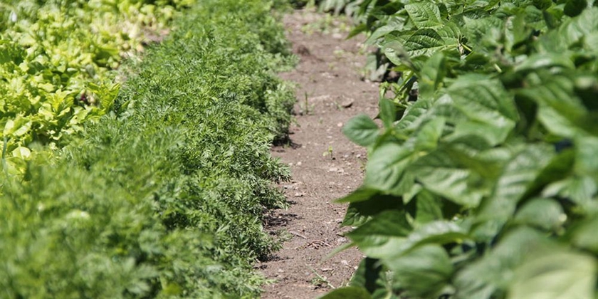 Imagen de los exteriores del Hotel Comtes De Challant. Foto 7