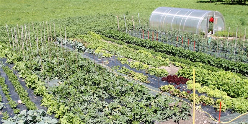 Imagen de los exteriores del Hotel Comtes De Challant. Foto 8