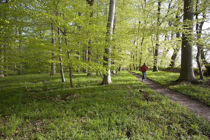 Imagen de los exteriores del Hotel Comwell Klarskovgaard. Foto 8