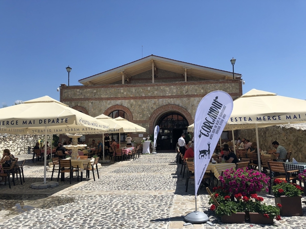 Imagen general del Hotel Conacul Maria Theresa. Foto 5