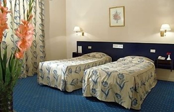 Imagen de la habitación del Hotel Concorde Dokki. Foto 10