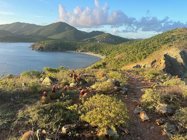 Imagen general del Hotel Concordia Eco-Resort. Foto 3