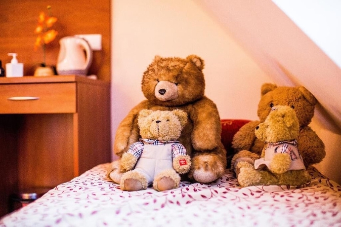 Imagen de la habitación del Hotel Concordia, Podgorzyn. Foto 1