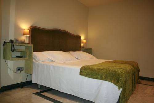 Imagen de la habitación del Hotel Conde De Cárdenas. Foto 12