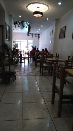 Imagen del bar/restaurante del Hotel Condesa, Zacatecas. Foto 5
