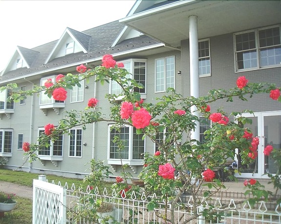Imagen general del Hotel Condominium Square Hills. Foto 4