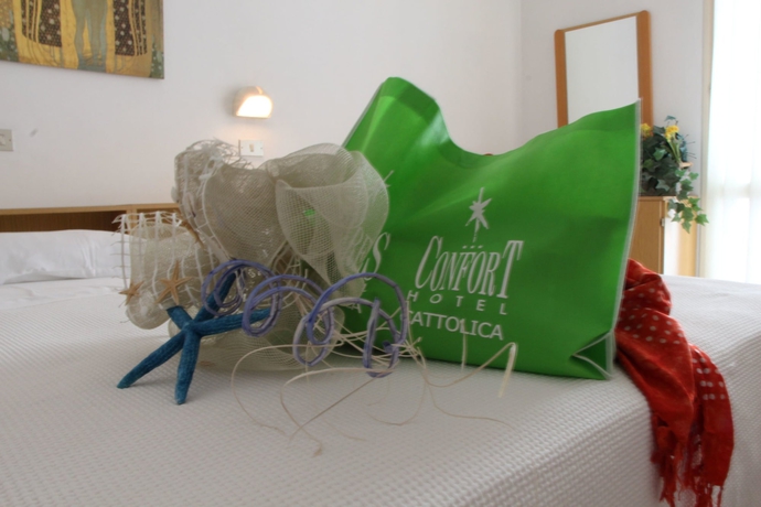 Imagen de la habitación del Hotel Confort, Rimini. Foto 15