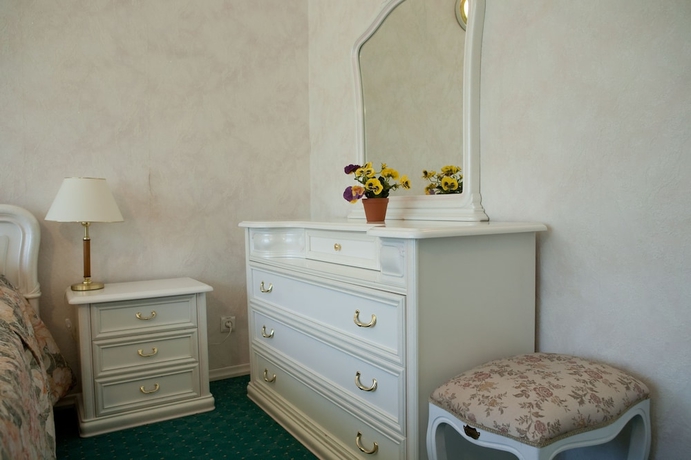 Imagen de la habitación del Hotel Congress Centre Golitsyno. Foto 7