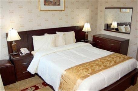 Imagen de la habitación del Hotel Congress and Suites. Foto 10