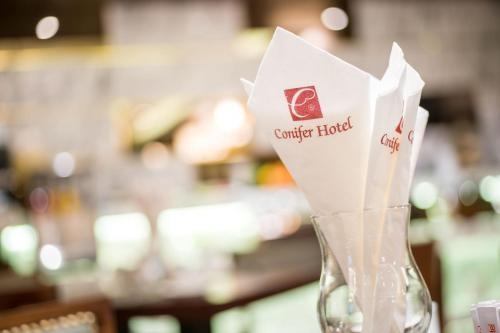 Imagen general del Hotel Conifer Grand. Foto 4