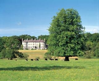 Imagen de los interiores del Hotel Conrad Mount Juliet. Foto 5