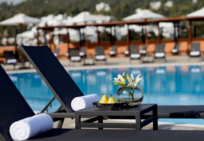 Imagen de la piscina del Hotel Constantine Marriott. Foto 15