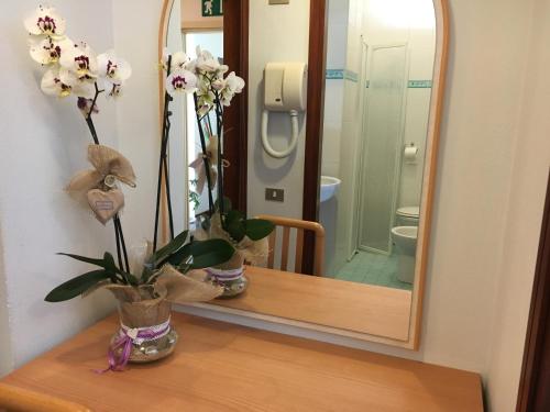 Imagen general del Hotel Consul, Cervia. Foto 2