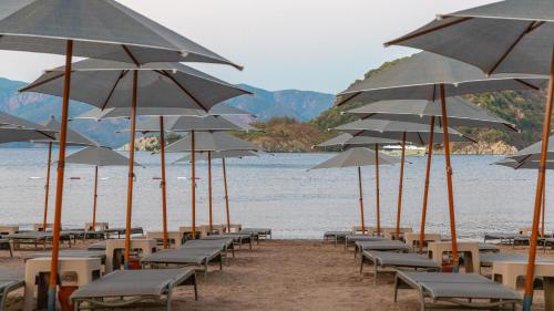 Imagen general del Hotel Contess By Faros, Marmaris. Foto 13