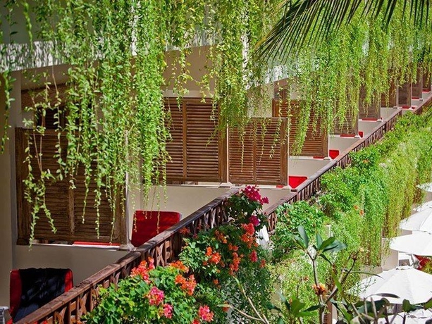 Imagen general del Hotel Contiki Resort 18 to 35. Foto 3