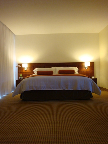 Imagen de la habitación del Hotel Continental Altamira. Foto 11