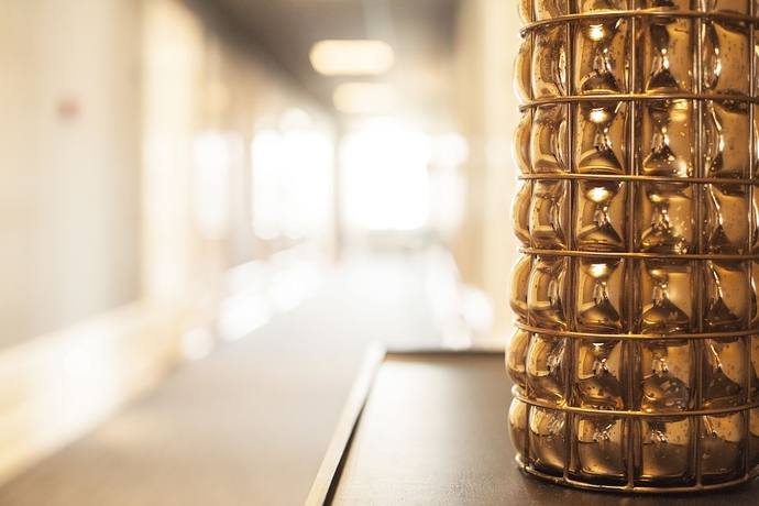 Imagen de la habitación del Hotel Continental Du Sud. Foto 5