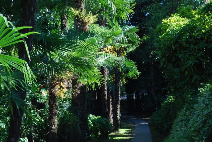 Imagen de los exteriores del Hotel Continental Parkhotel. Foto 6