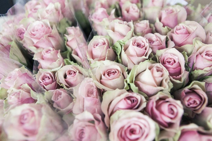 Imagen general del Hotel Continental, Treviso. Foto 8