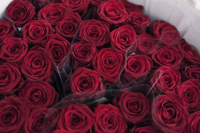 Imagen general del Hotel Continental, Treviso. Foto 9