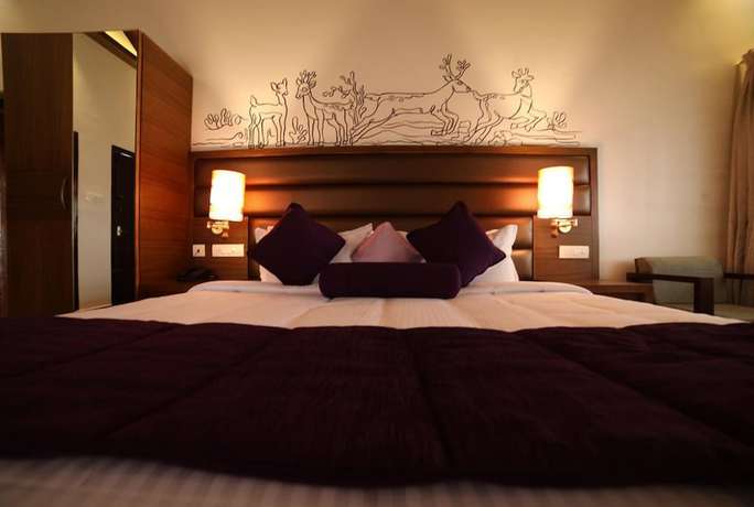 Imagen de la habitación del Hotel Contour Island Resort and Spa. Foto 14