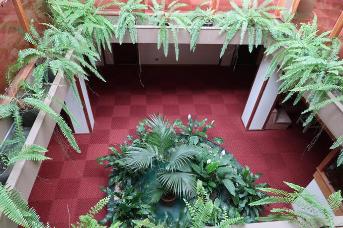 Imagen de los interiores del Hotel Contriz. Foto 21