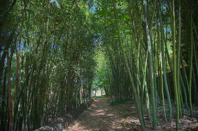 Imagen de los exteriores del Hotel Convento Dos Capuchos. Foto 9