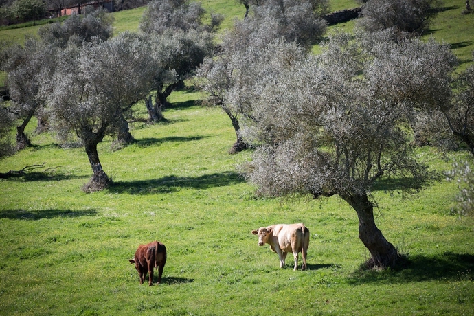 Imagen general del Hotel Convento San Diego. Foto 2