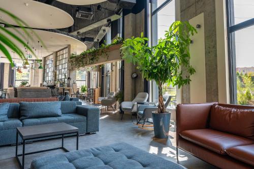 Imagen general del Hotel Convictus Cracovia. Foto 14