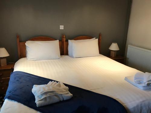Imagen general del Hotel Conwy Valley. Foto 7