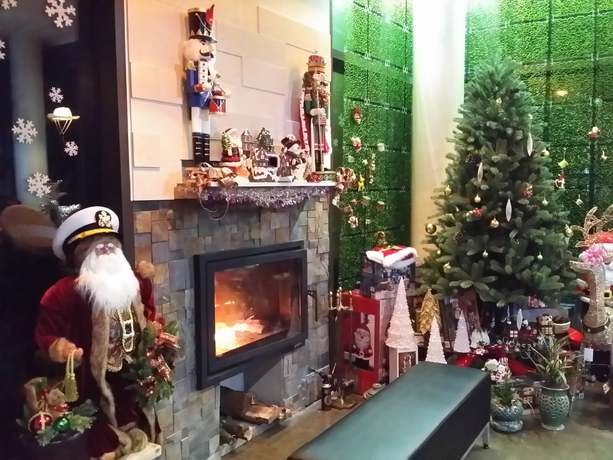 Imagen de la habitación del Hotel Coogee Holiday. Foto 9